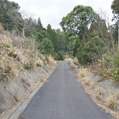 鹿児島市喜入町【売地】 土地約448坪山林70万円