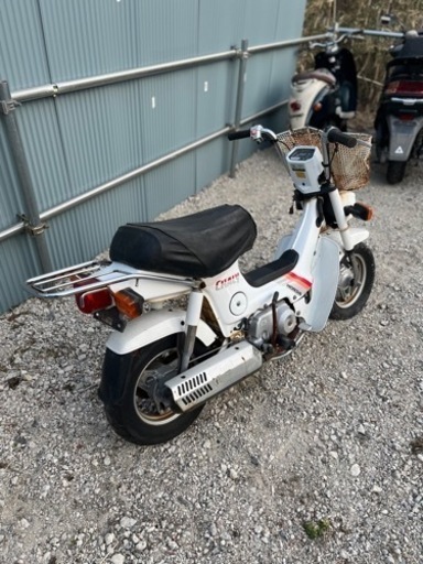 HONDA シャリー CF50 | monsterdog.com.br