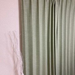 緑色カーテン