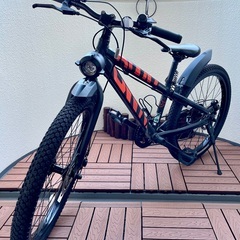 ブリヂストン BWX ELITEモデル 24型