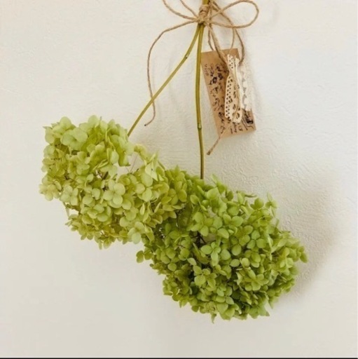 アナベル紫陽花ドライフラワー お花の雑貨屋さん 県庁前の生活雑貨の中古あげます 譲ります ジモティーで不用品の処分