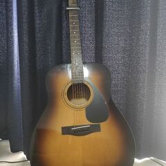 ヤマハ ギター F315D (付属品あり)