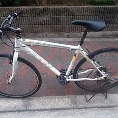 felt 60qx