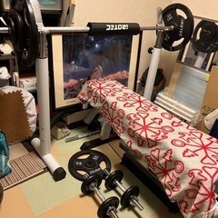 バーベル、ベンチプレス今なら特典アリ❗️