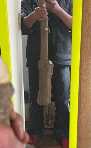 引っ越しに伴いお値下げ！国産山椒の木　すりこぎ　　直径約11.5cm 棍棒サイズ 引っ越しに伴いお値下げ！国産山椒の木すりこぎ直径約11.5cm 棍棒サイズ