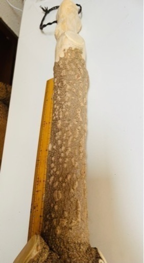 引っ越しに伴いお値下げ！国産山椒の木　すりこぎ　　直径約11.5cm 棍棒サイズ 引っ越しに伴いお値下げ！国産山椒の木 すりこぎ 直径約11.5cm 棍棒