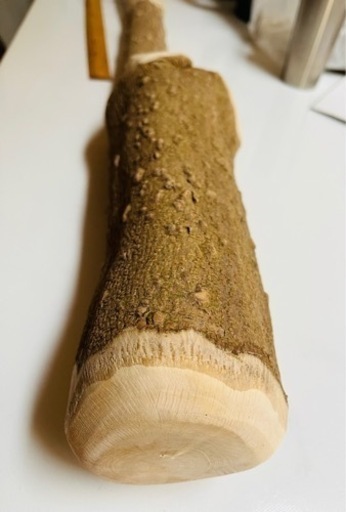 引っ越しのため、お値下げ！国産山椒の木 樹齢約26年 すりこぎ用 特