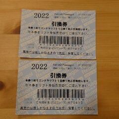 パルコール嬬恋スキー場 1日券2枚5000円！