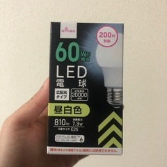 60w形相当LED電球