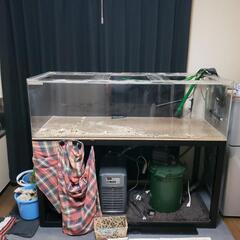 カンテツアクリル水槽