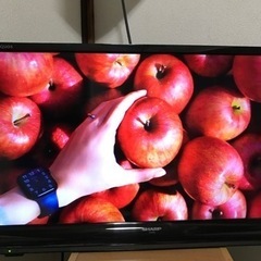 テレビ　AQUOS　32型