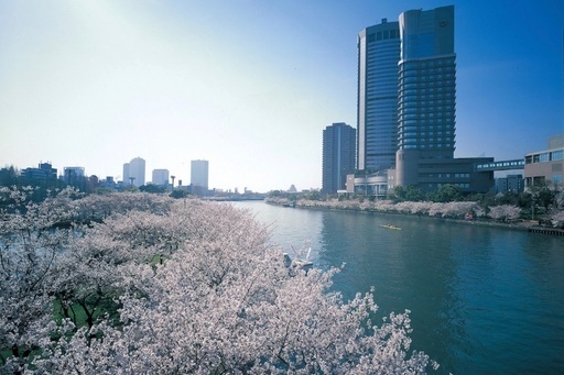 22 4 2 土 大阪で1番人が多いお花見パーティー １００名規模 とみー 大阪のその他のイベント参加者募集 無料掲載の掲示板 ジモティー