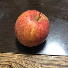今シーズン最後！(訳アリ)りんご　5kg500円