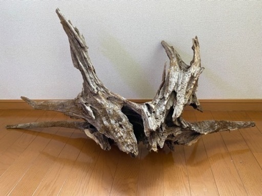 流木(購入予定者有り)