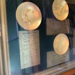 新幹線、博多東京開通記念