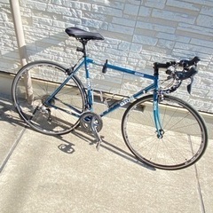 ジオス　フェニーチェ　54 GIOS FINICE ロードバイク 2023年購入
