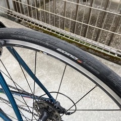 GIOS フェニーチェ 2021 54サイズ ブルーグリーン