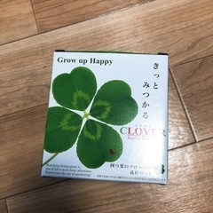 【ネット決済】栽培セット　クローバー（Clover）