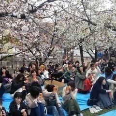 大阪お花見2024年イベント🌸お花見の時期にはお花見パーティ一択😁つ🌸 - 大阪市