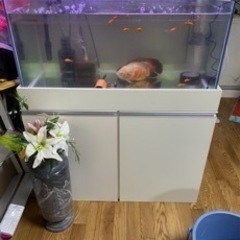 90センチ水槽と台