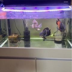 90センチ水槽と台