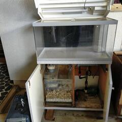 アクアリウム　鑑賞用水槽セット