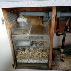 アクアリウム　鑑賞用水槽セット