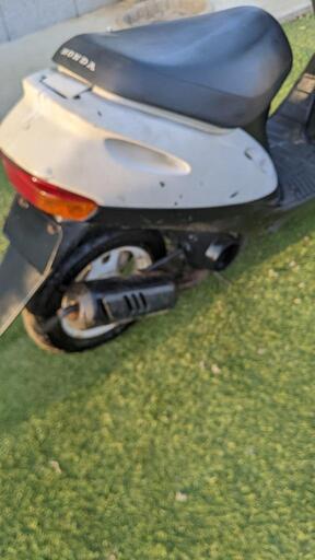 ホンダ ライブディオ ZX仕様 原付 バイク 整備品