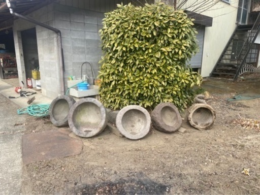 石臼　メダカ飼育容器