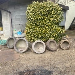 石臼　メダカ飼育容器