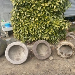 石臼　メダカ飼育容器