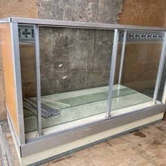 ショーケース ロータイプ タテヤマ ガラス棚2段