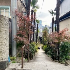 東京都港区高輪⭐︎保安寺⭐︎お寺ヨガ - 港区