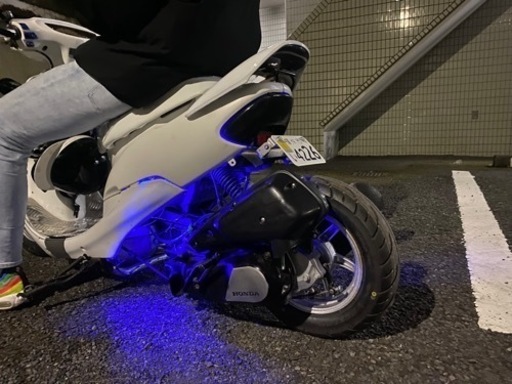 ライブDioZXロンホイ