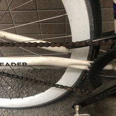leader bike 721