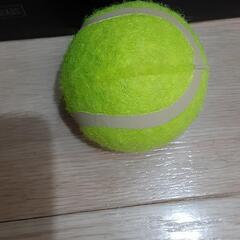 テニスボール　1個