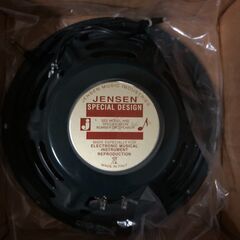 3/27,3/28 18〜20時の間引き取りに来ていただける方限定 Fender