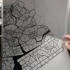 型紙★オリエンタルポピー