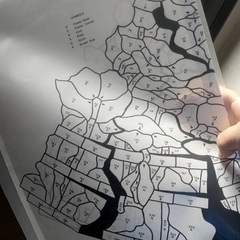 型紙★オリエンタルポピー 型紙☆オリエンタルポピー