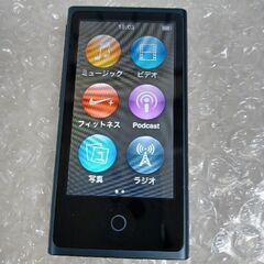 【ネット決済・配送可】iPod nano 7世代 BCG-A1446A