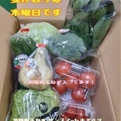 旬！野菜詰め合わせボックス