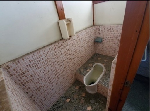 汲み取りトイレ 簡易水洗トイレ工事 タピごり君 佐野の手伝って 助けての助け合い ジモティー
