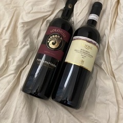イタリアワイン　2本セット