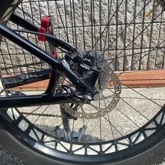 FAT BOY（グロスブラック/ゴールド/ホワイト）