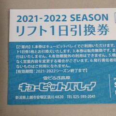 キューピットバレイ 一日券 リフト券