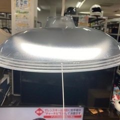 NEC LED傘照明  2019年製   リサイクルショップ宮崎...
