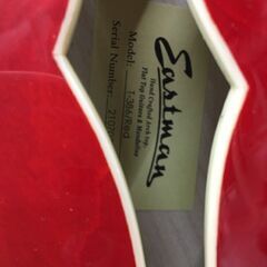 Wa66　セミアコ　EASTMAN　T-386　レッド