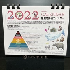 【譲渡先決まりました】2022年卓上カレンダー【絶滅危惧種】レア物