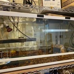 パンテオン　9045 爬虫類　美品　ゲージ　