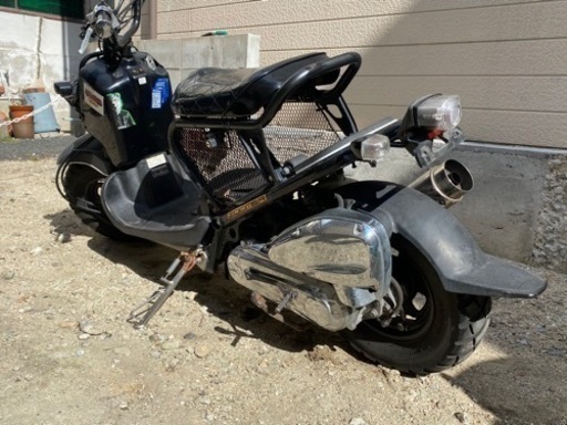 ホンダ ズーマー 50cc ①